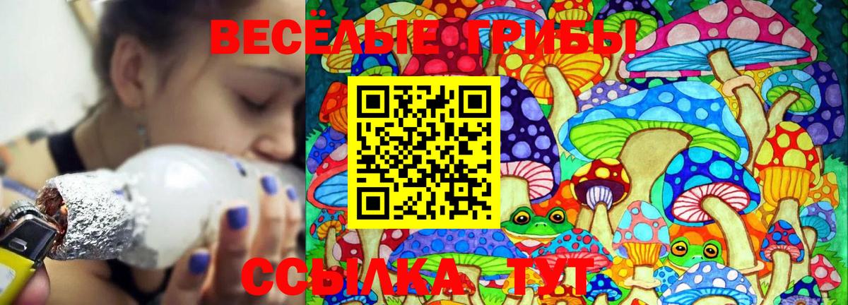 Борзя  Псилоцибиновые грибы MAGIC MUSHROOMS  Вход с VPN 